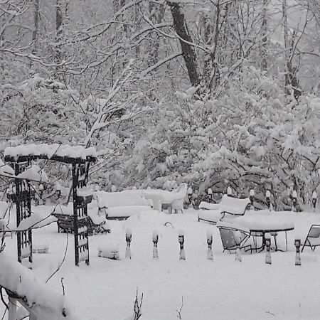 Proctor Mansion Inn Wrentham Esterno foto