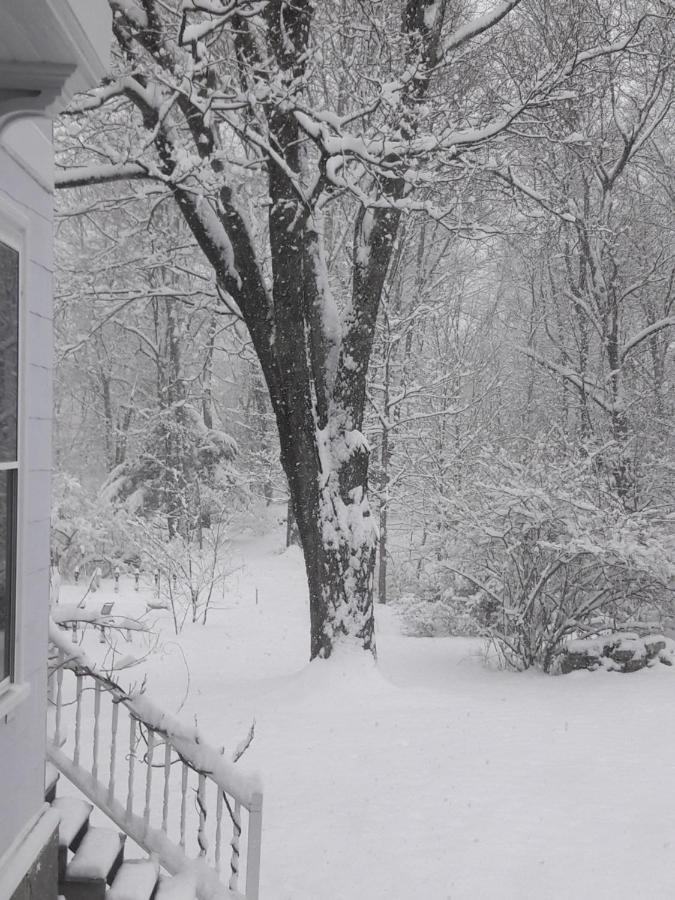 Proctor Mansion Inn Wrentham Esterno foto