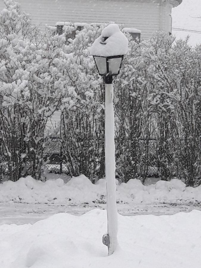 Proctor Mansion Inn Wrentham Esterno foto